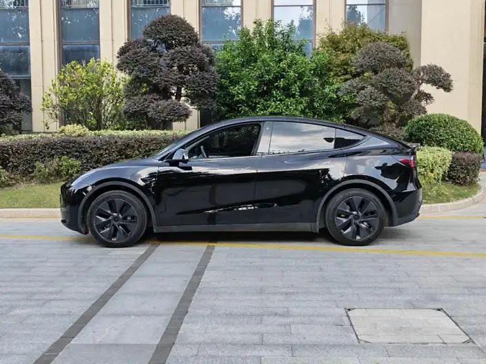 Model Y 2023 Model Rear-wheel drive version – фото 4
