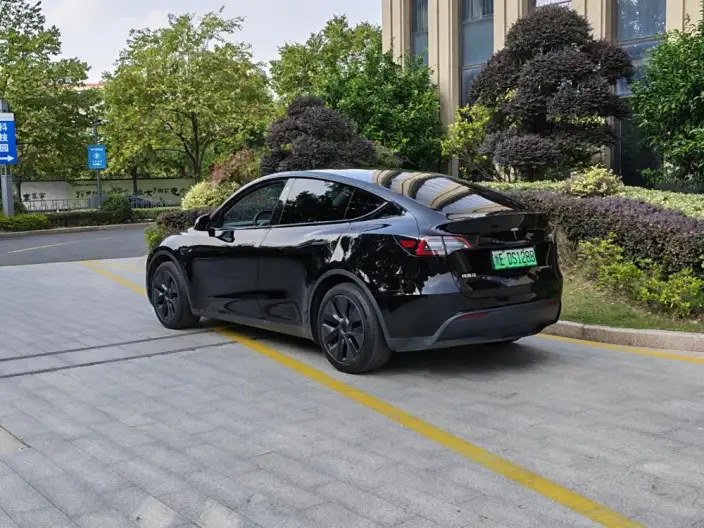 Model Y 2023 Model Rear-wheel drive version – фото 5
