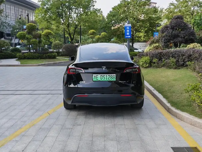 Model Y 2023 Model Rear-wheel drive version – фото 6