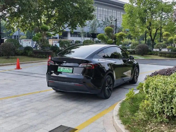 Model Y 2023 Model Rear-wheel drive version – фото 7