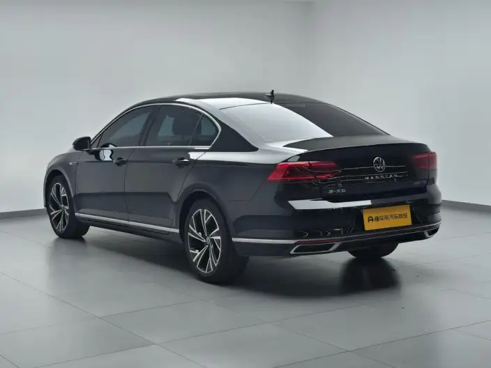Volkswagen Magotan 2020 Model 330TSI DSG Luxury Model – фото 5