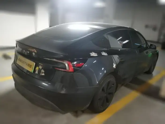 Model 3 2025 Model Rear-wheel drive version – фото 2