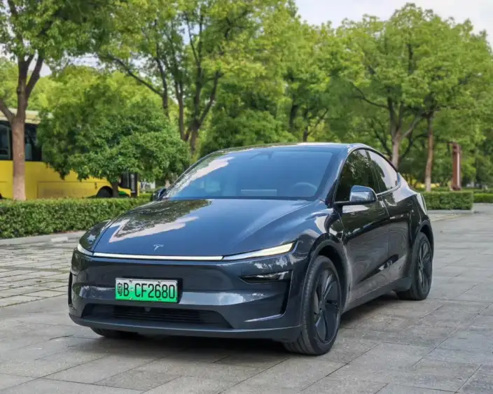 Model Y 2025 Model Rear-wheel drive version – фото 1