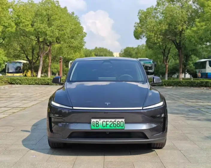Model Y 2025 Model Rear-wheel drive version – фото 2