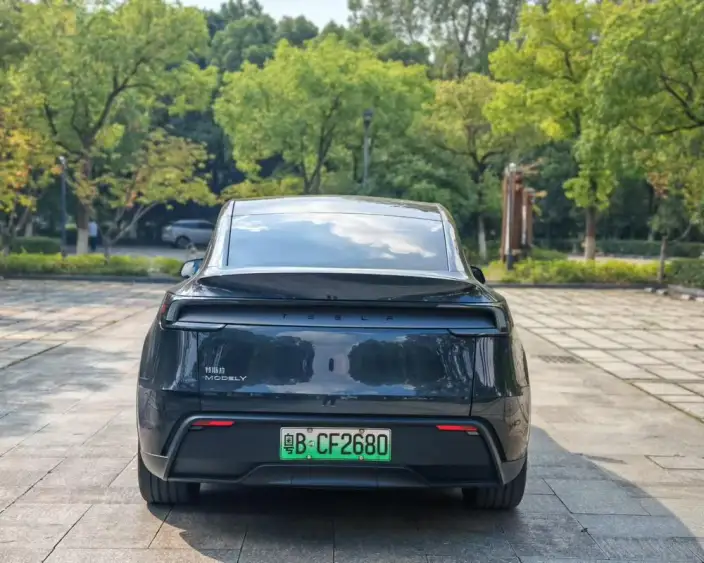 Model Y 2025 Model Rear-wheel drive version – фото 5