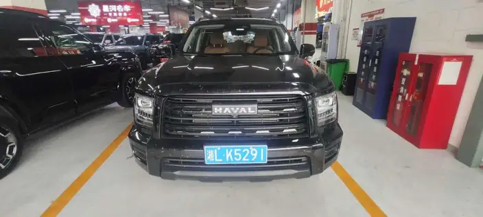 Haval H5 2025 Model 2.0T Diesel Pilot Automatic 4WD – фото 2