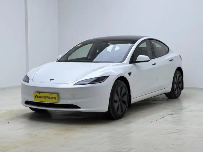 Model 3 2025 Model Long Battery Life Pro Rear-wheel drive version – фото 1