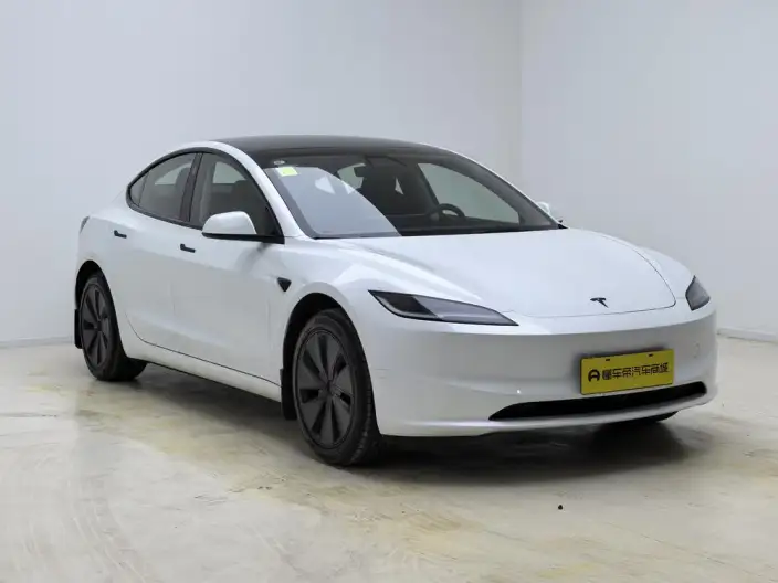 Model 3 2025 Model Long Battery Life Pro Rear-wheel drive version – фото 3