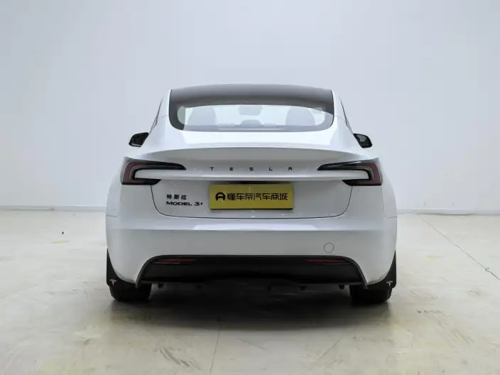 Model 3 2025 Model Long Battery Life Pro Rear-wheel drive version – фото 6