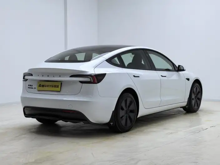 Model 3 2025 Model Long Battery Life Pro Rear-wheel drive version – фото 7