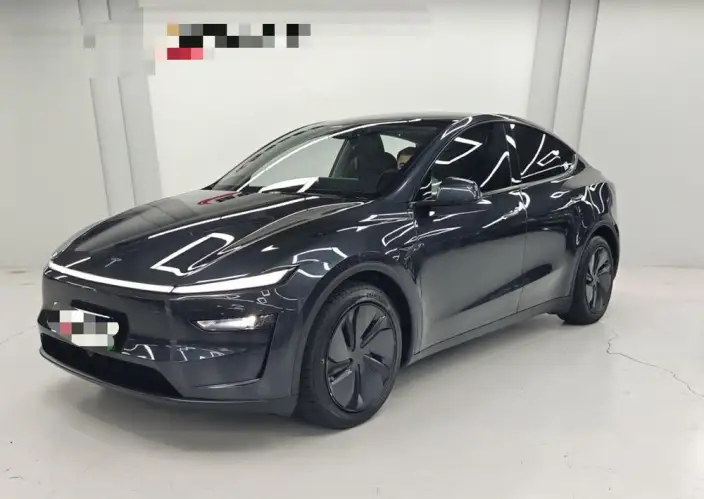 Model Y 2025 Model Rear-wheel drive version – фото 1