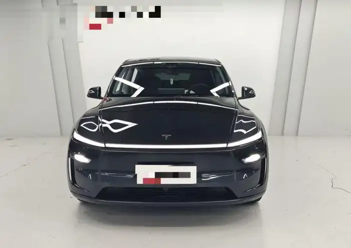 Model Y 2025 Model Rear-wheel drive version – фото 2