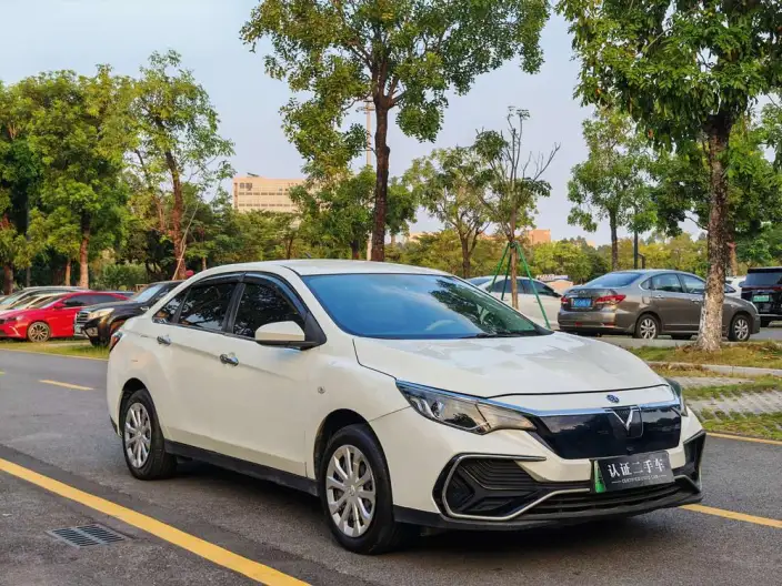 Venucia D60 EV 2022 Model Standard Battery Life Comfort Edition