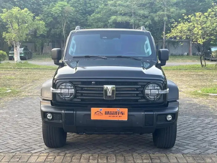 Tank 300 2024 Model 2.0T Challenger – фото 2