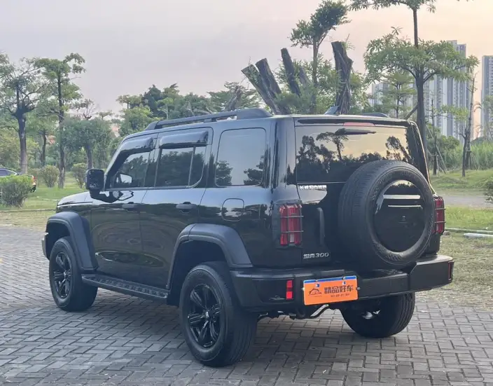 Tank 300 2024 Model 2.0T Challenger – фото 4