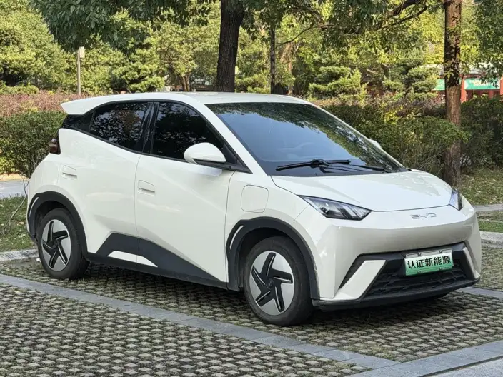 BYD Seagull 2023 Model Vitality Edition – фото 3