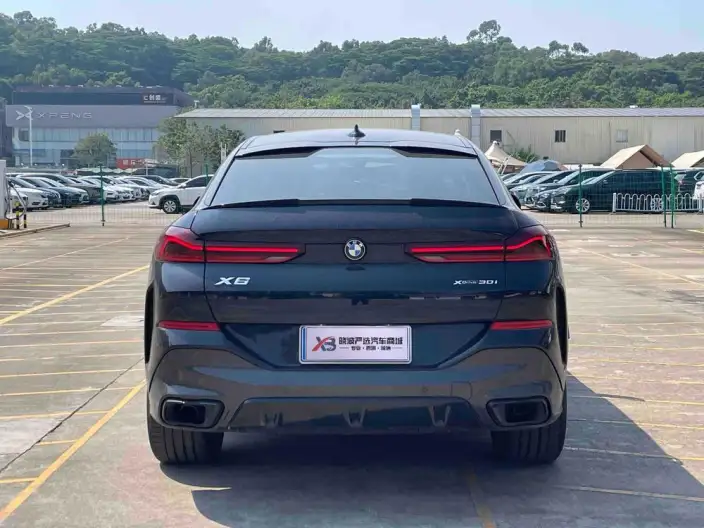 BMW X6 2022 Model Facelift xDrive30i M Sports Set – фото 6