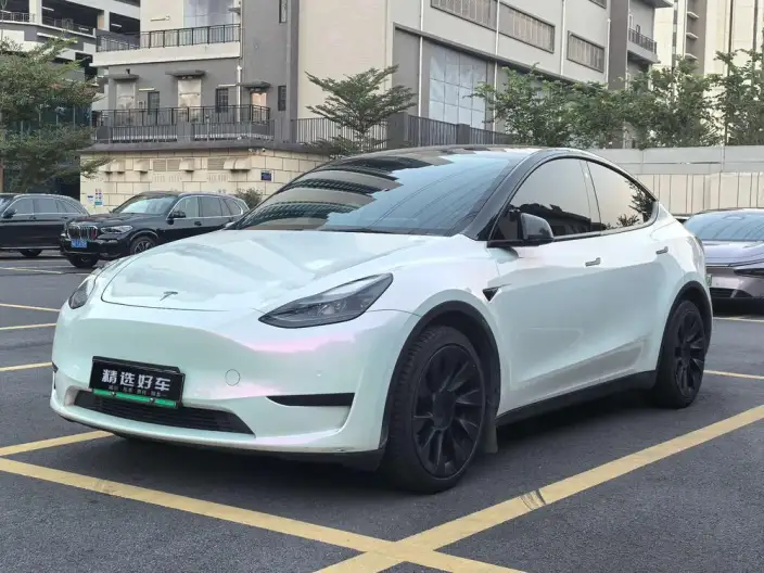 Model Y 2022 Model Rear-wheel drive version – фото 1