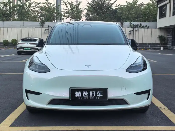 Model Y 2022 Model Rear-wheel drive version – фото 2