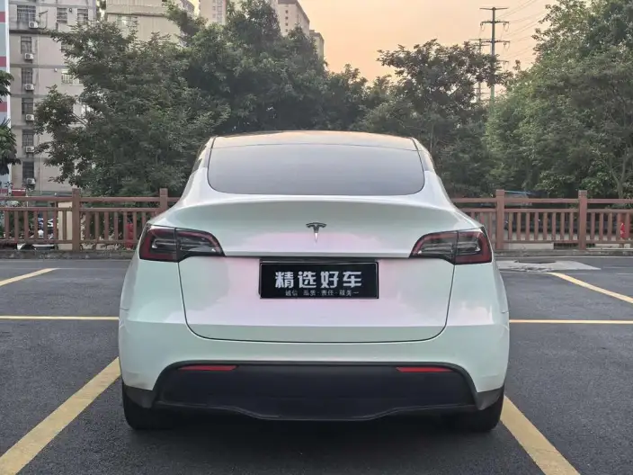 Model Y 2022 Model Rear-wheel drive version – фото 6