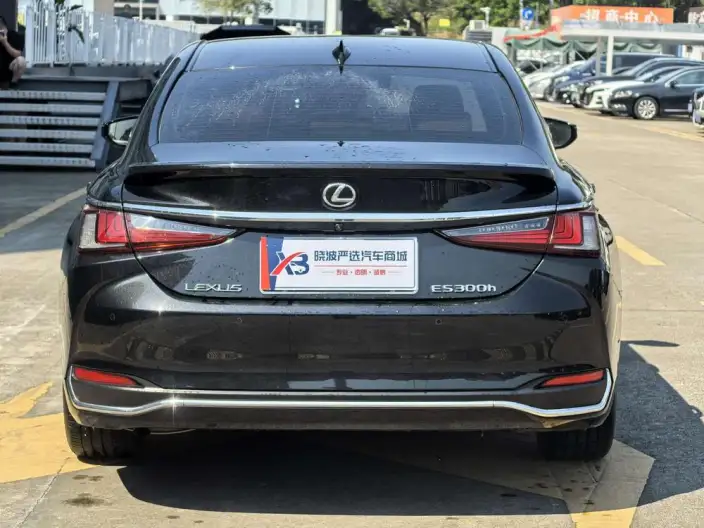Lexus ES 2022 Model 300h Superior Edition – фото 5