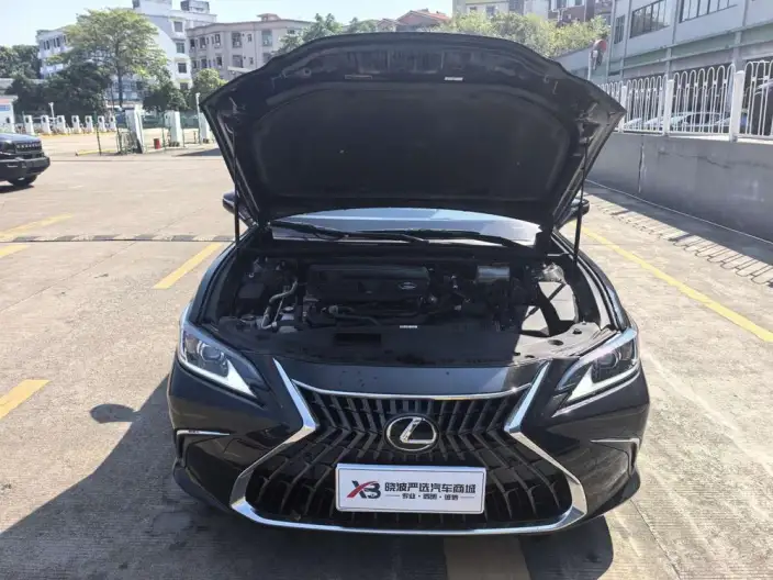 Lexus ES 2022 Model 300h Superior Edition – фото 7
