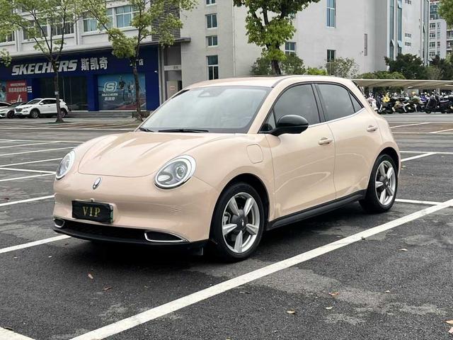 ORA Good Cat 2022 400km Standard Range Luxury Lithium Iron Phosphate