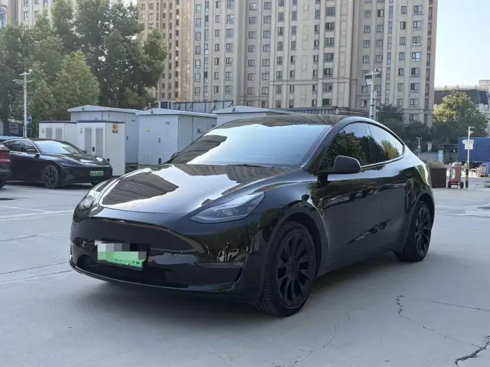 Model Y 2022 Model Long Battery Life Pro All-wheel drive version – фото 1