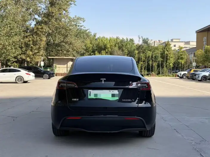 Model Y 2022 Model Long Battery Life Pro All-wheel drive version – фото 5