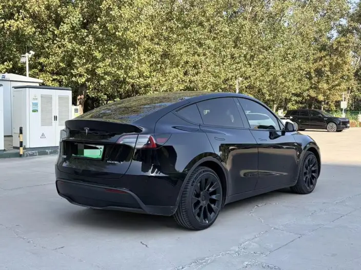 Model Y 2022 Model Long Battery Life Pro All-wheel drive version – фото 6