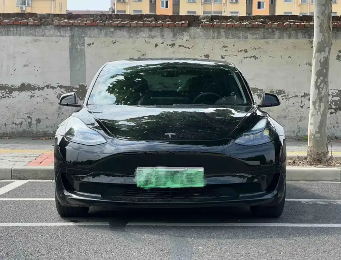 Model 3 2022 Model Rear-wheel drive version – фото 2
