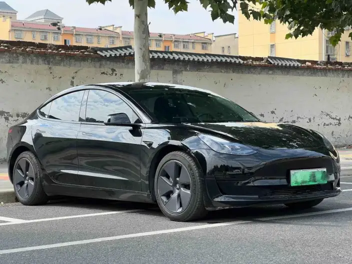 Model 3 2022 Model Rear-wheel drive version – фото 3