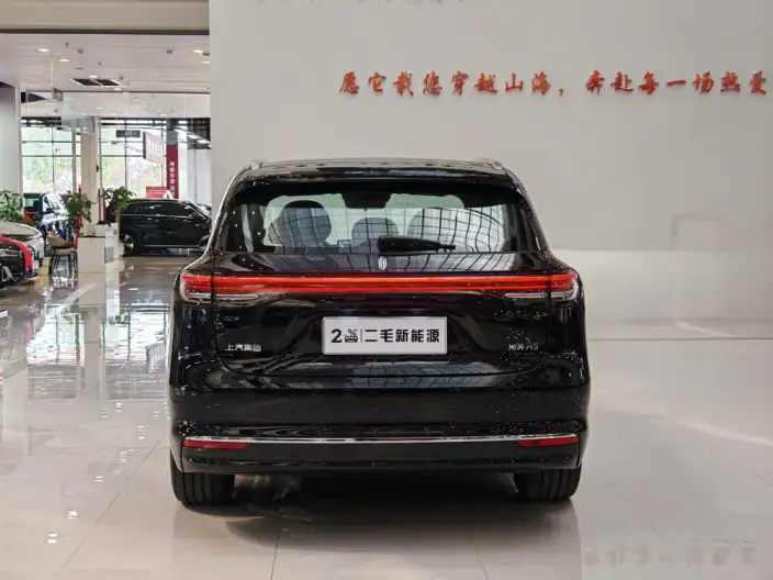Sangyuan H5 2025 Model Extended Range Max – фото 5