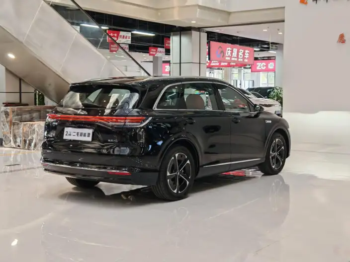 Sangyuan H5 2025 Model Extended Range Max – фото 6