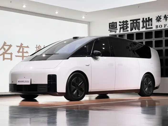 Li Auto MEGA 2025 Model Home Family Special Edition – фото 1
