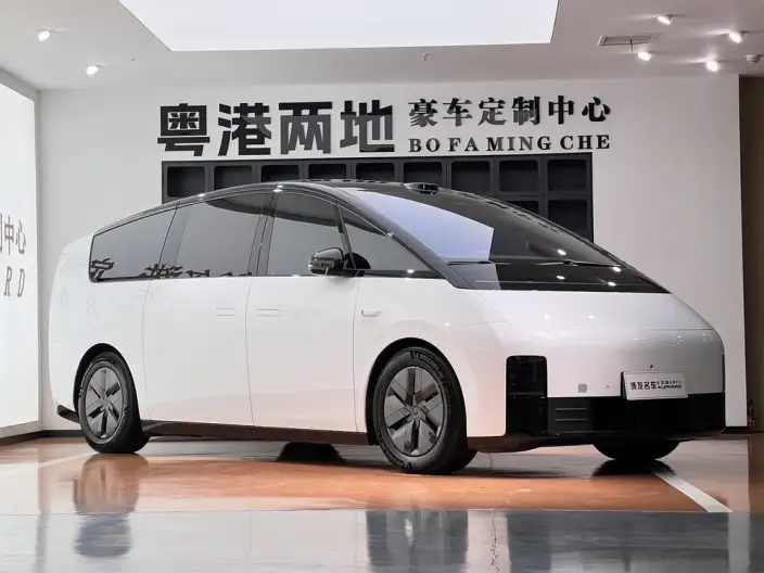 Li Auto MEGA 2025 Model Home Family Special Edition – фото 3