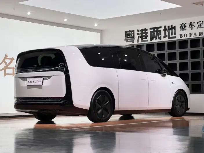 Li Auto MEGA 2025 Model Home Family Special Edition – фото 5