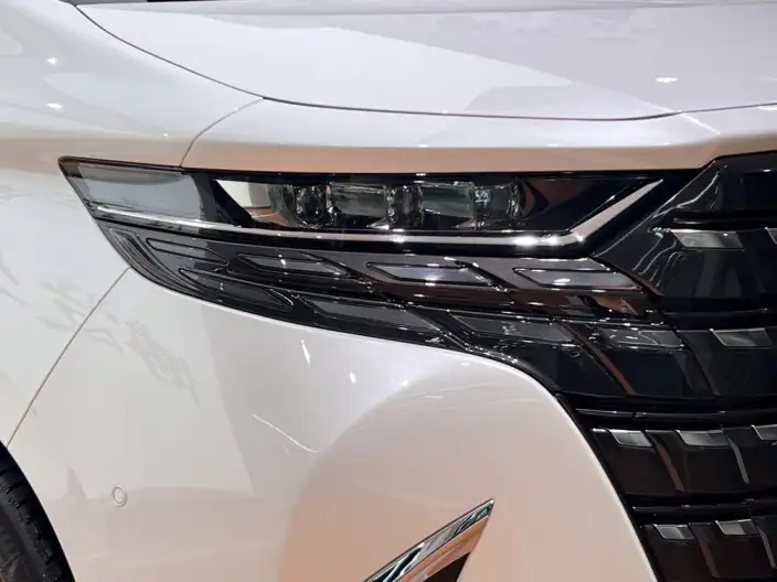 Elfa 2023 Model 2.5L Intelligent Hybrid 4WD Premium – фото 7