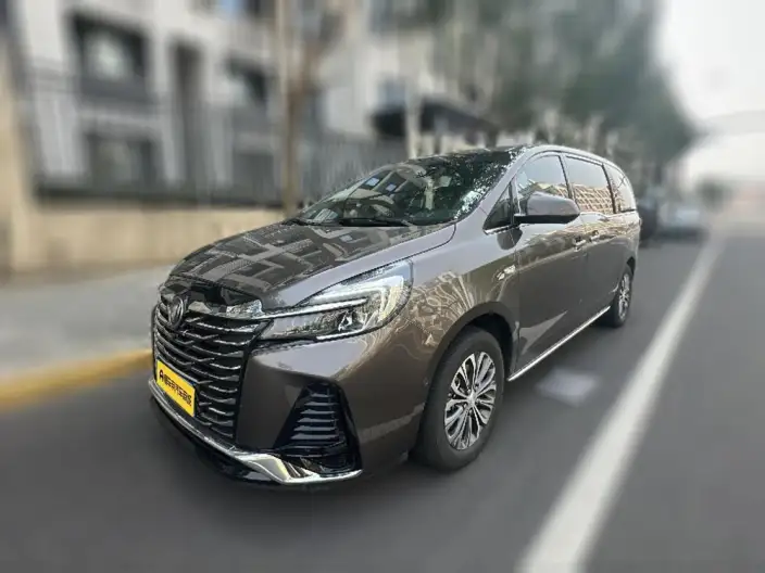 Buick GL8 2022 Model Facelift Business class 2.0T Smart Noble Model – фото 1