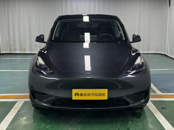Model Y 2024 Model Rear-wheel drive version – фото 2