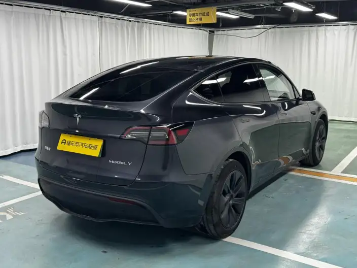 Model Y 2024 Model Rear-wheel drive version – фото 7