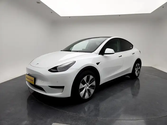 Model Y 2022 Model Rear-wheel drive version – фото 1