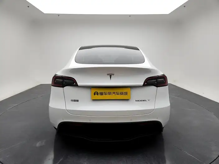 Model Y 2022 Model Rear-wheel drive version – фото 6