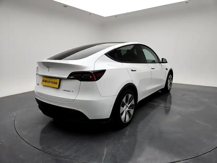 Model Y 2022 Model Rear-wheel drive version – фото 7