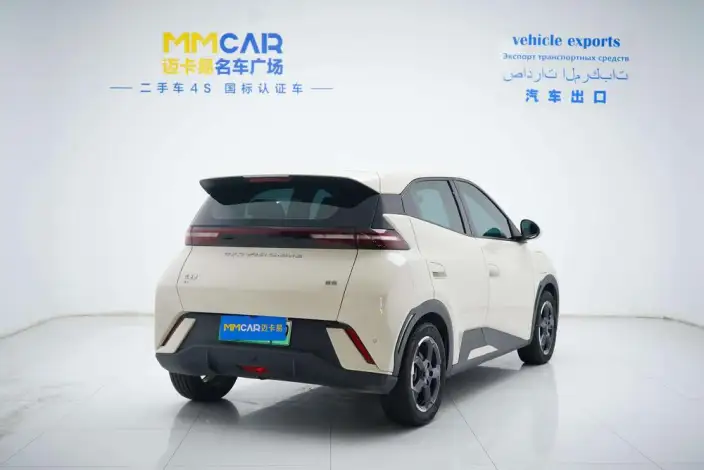 BYD Seagull 2023 Model Feixiang Edition – фото 5