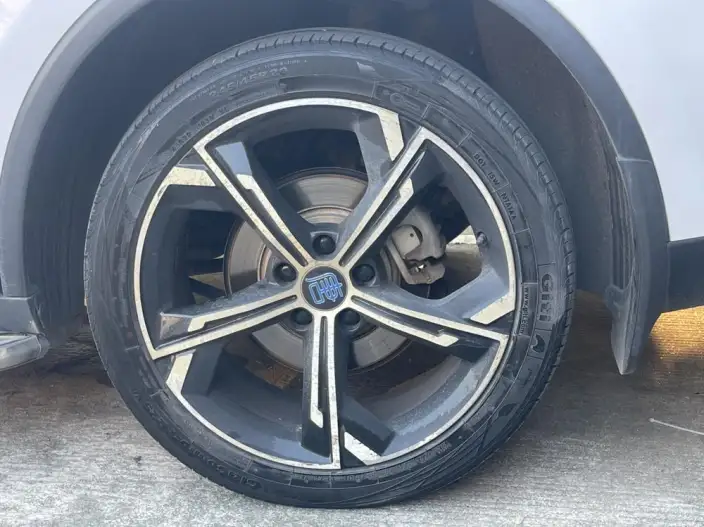 BYD Tang DM 2021 Model DM-i 1.5T 112KM Noble Model – фото 9