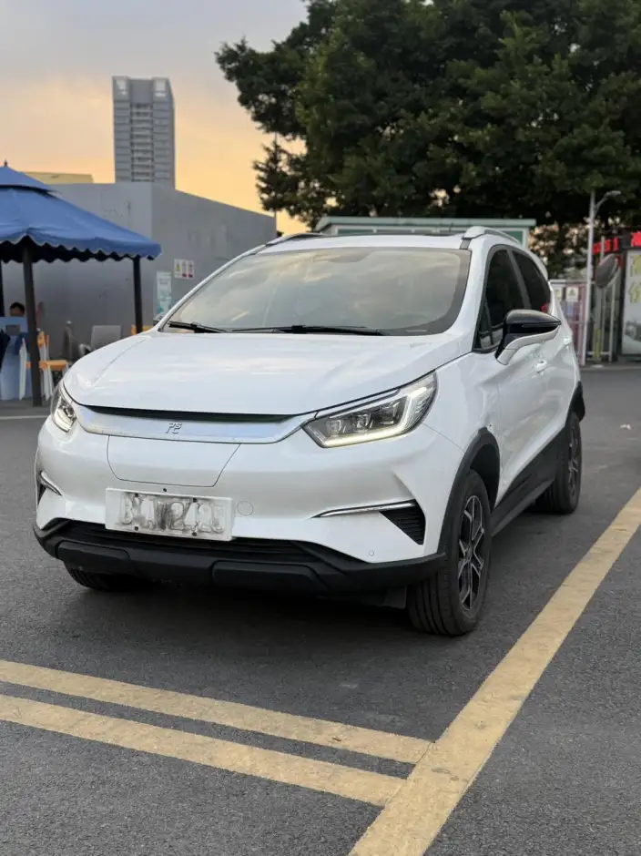Yuan Pro 2023 Model 401KM Noble Model – фото 1