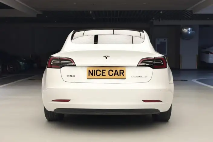 Model 3 2022 Model Rear-wheel drive version – фото 6