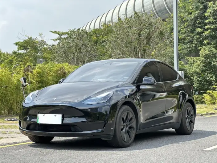 Model Y 2023 Model Rear-wheel drive version – фото 1