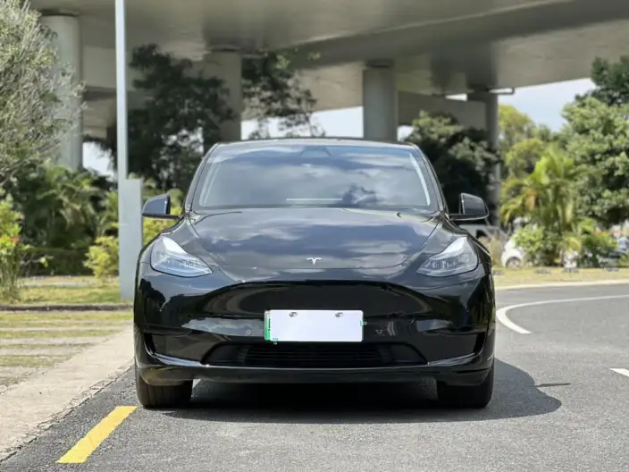 Model Y 2023 Model Rear-wheel drive version – фото 2
